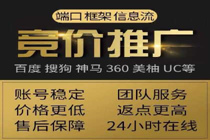 SEM推广技巧：成功案例深度剖析